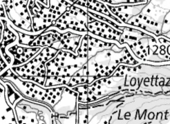 Exemplarische Darstellung der Landeskarte in grauer Farbe